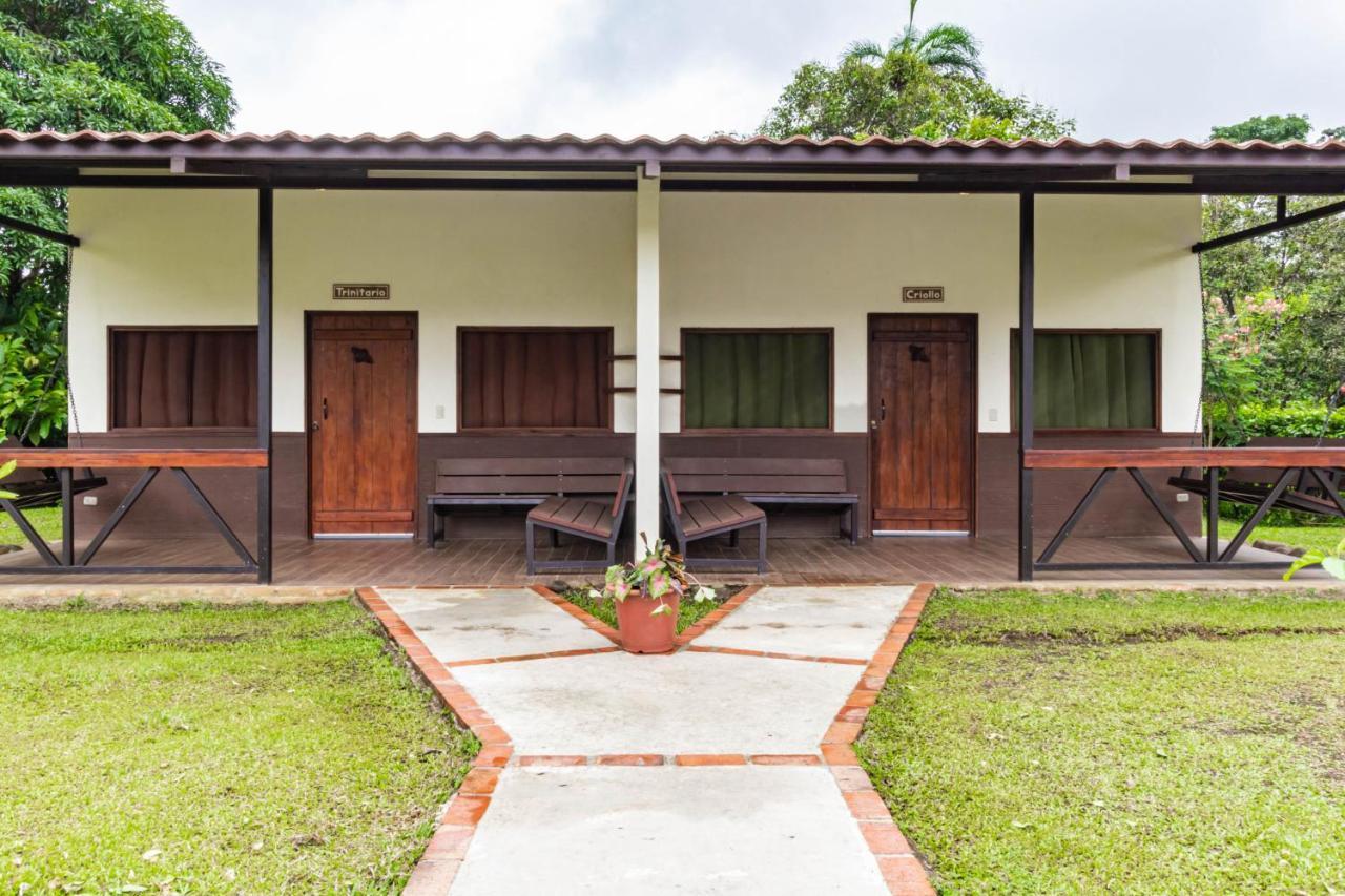 La Anita Rain Forest Colonia Dos Ríos エクステリア 写真