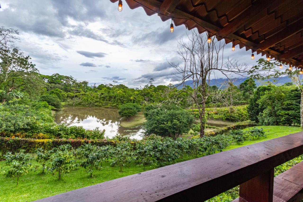 La Anita Rain Forest Colonia Dos Ríos エクステリア 写真