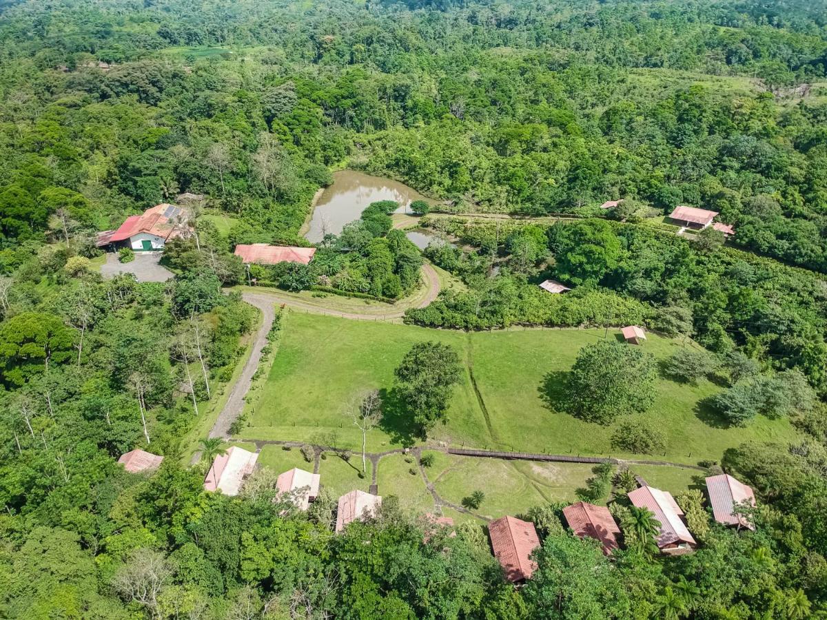 La Anita Rain Forest Colonia Dos Ríos エクステリア 写真