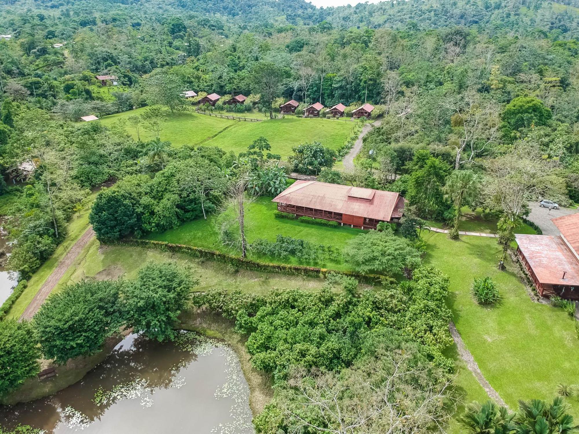 La Anita Rain Forest Colonia Dos Ríos エクステリア 写真