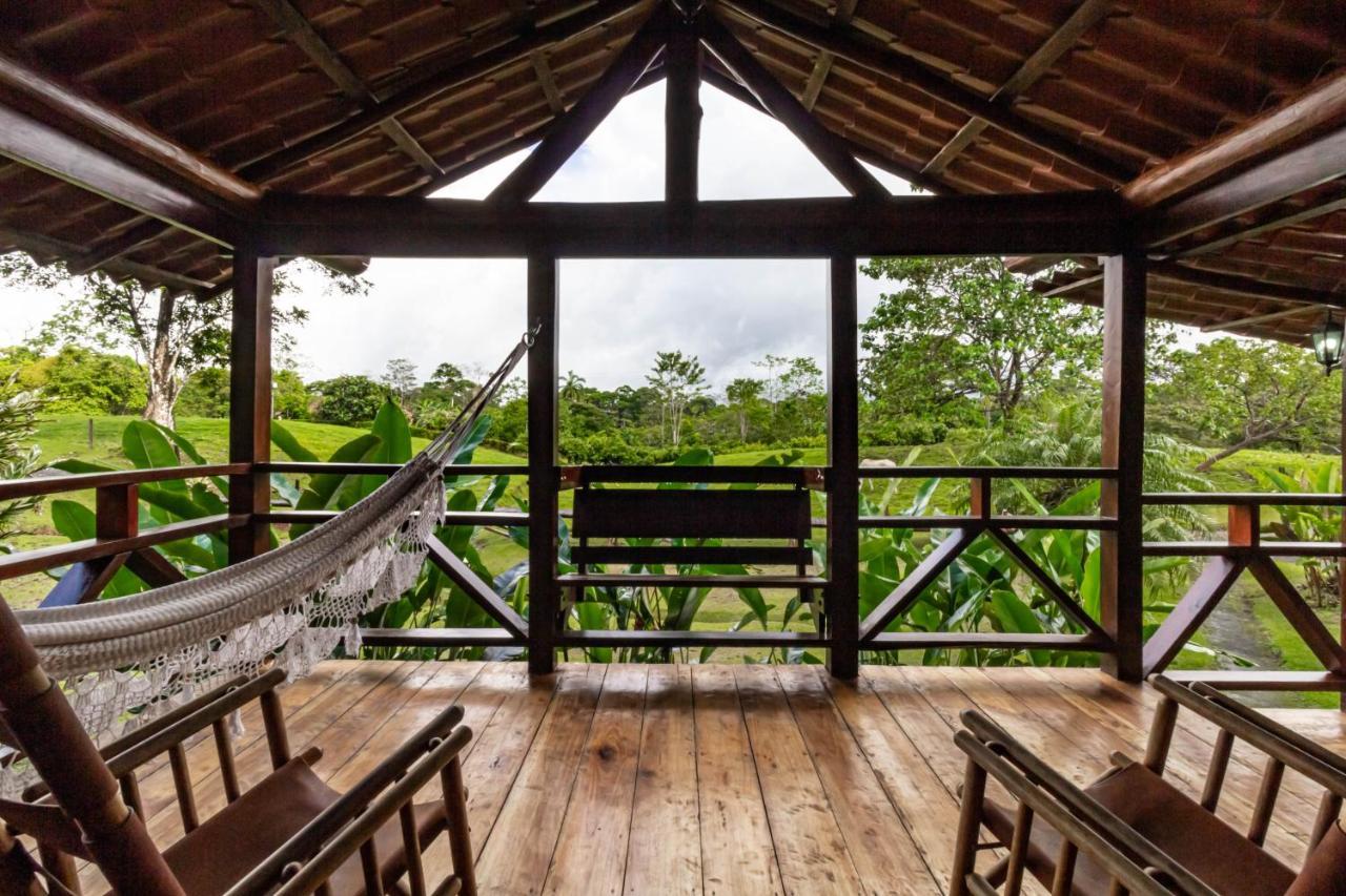 La Anita Rain Forest Colonia Dos Ríos エクステリア 写真