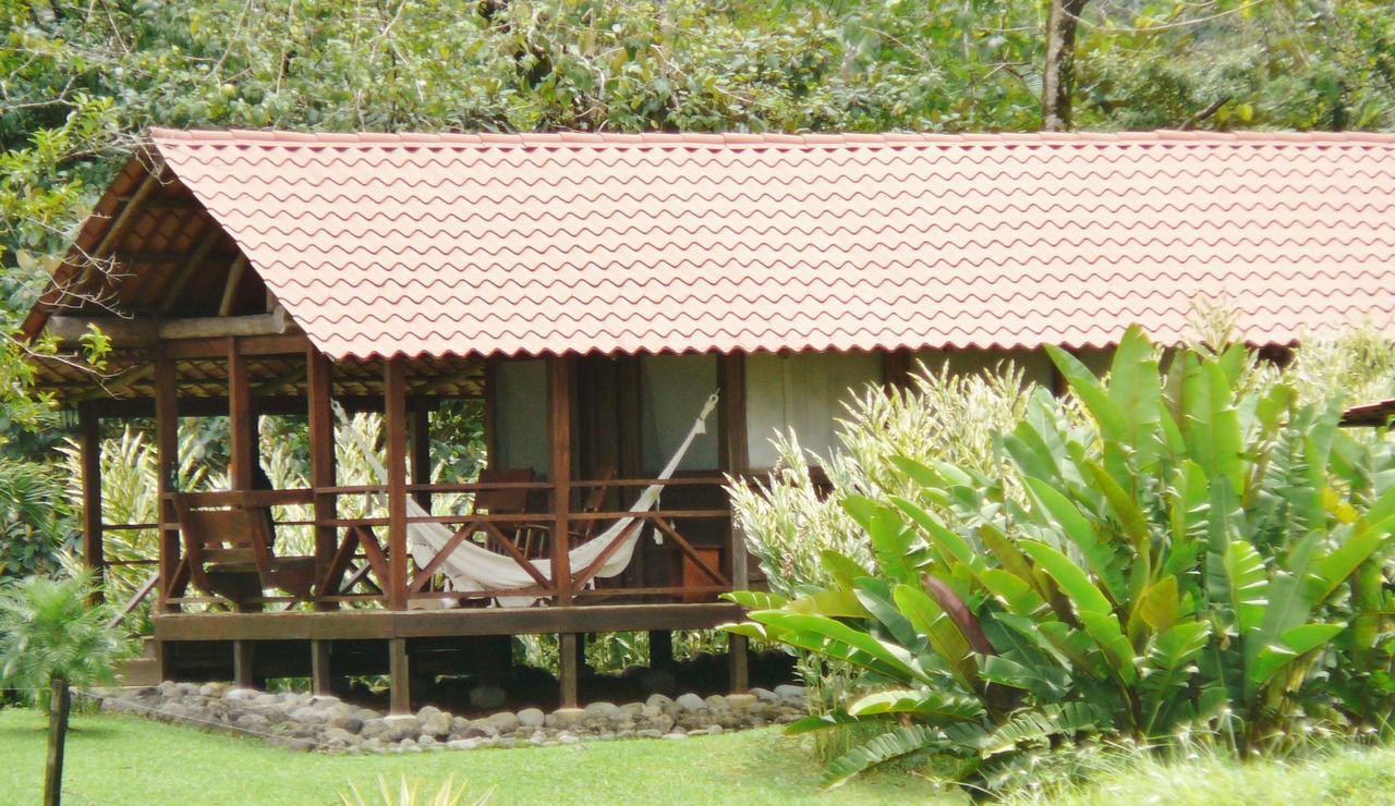 La Anita Rain Forest Colonia Dos Ríos エクステリア 写真