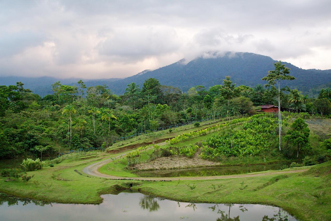 La Anita Rain Forest Colonia Dos Ríos エクステリア 写真