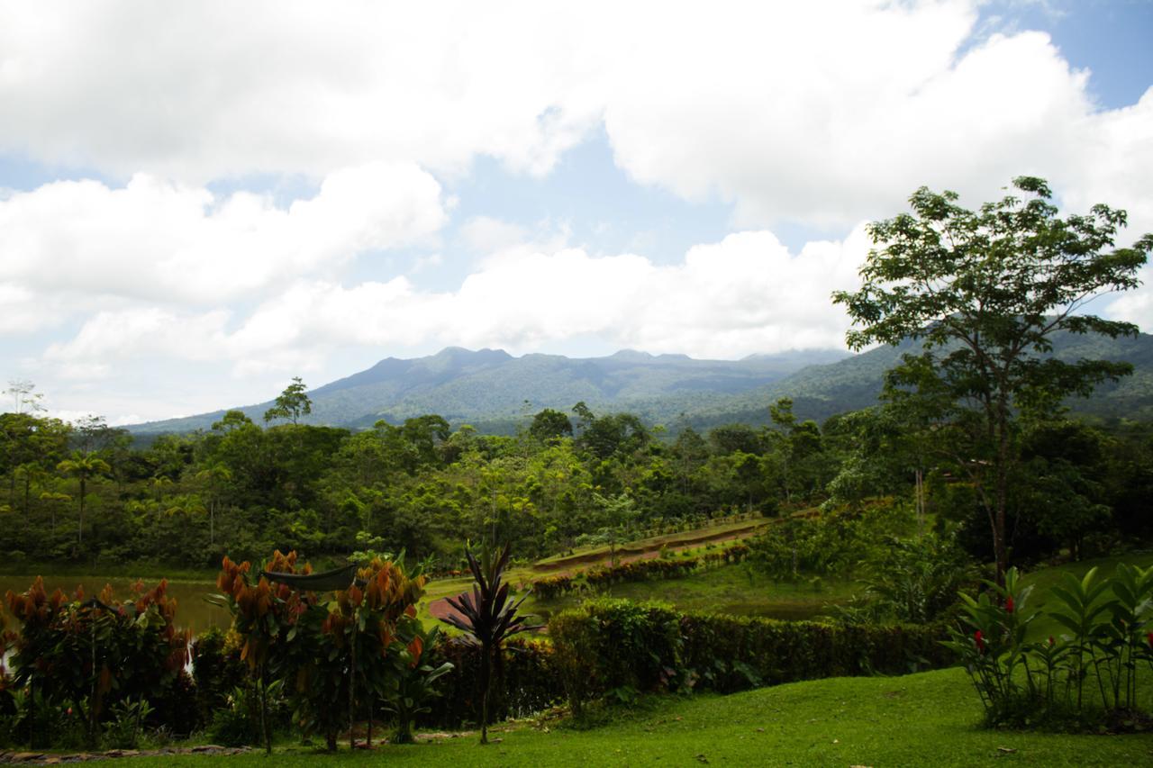 La Anita Rain Forest Colonia Dos Ríos エクステリア 写真