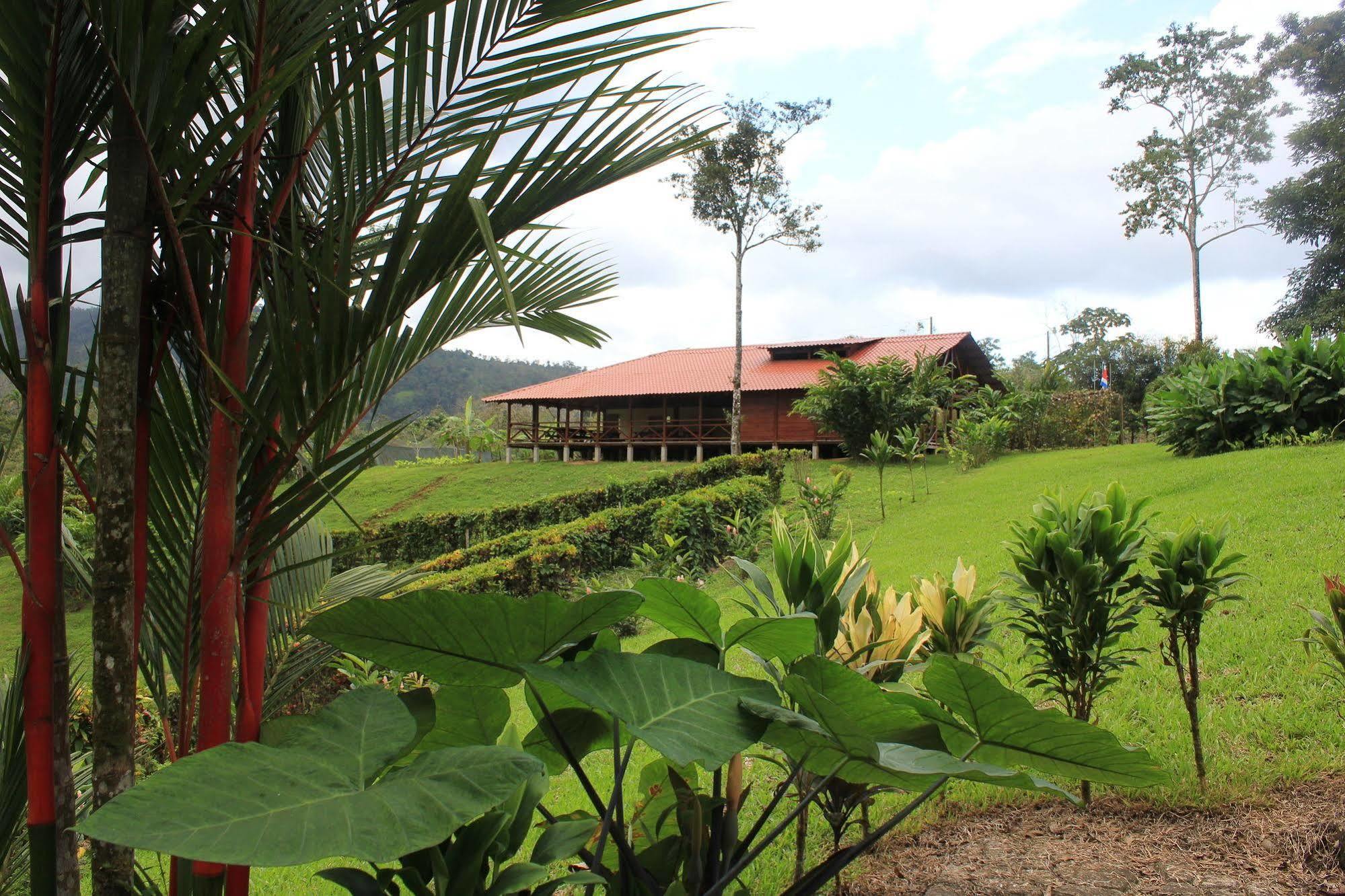 La Anita Rain Forest Colonia Dos Ríos エクステリア 写真