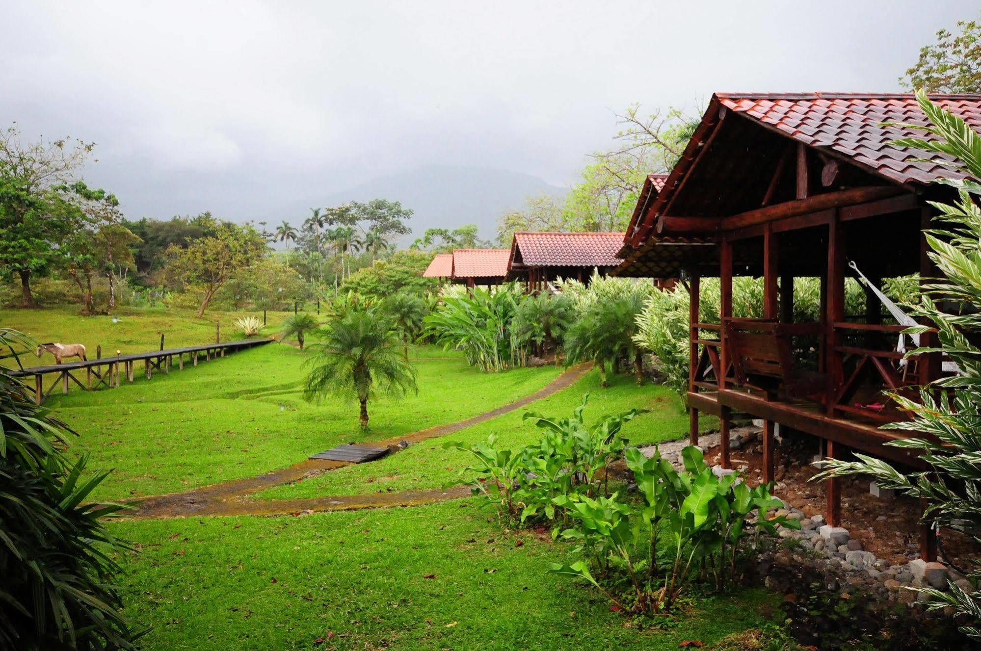 La Anita Rain Forest Colonia Dos Ríos エクステリア 写真