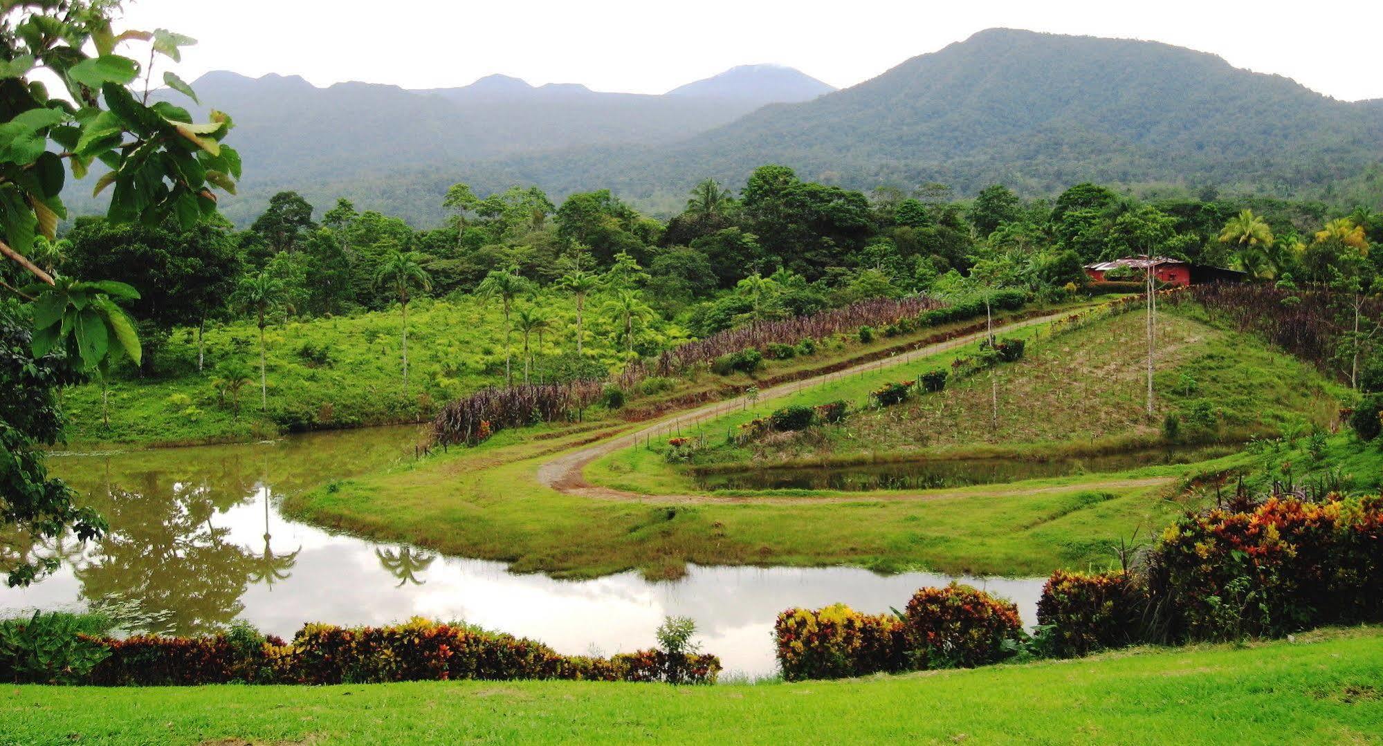 La Anita Rain Forest Colonia Dos Ríos エクステリア 写真