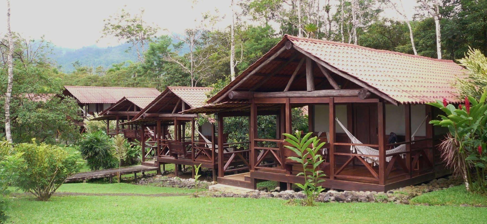 La Anita Rain Forest Colonia Dos Ríos エクステリア 写真